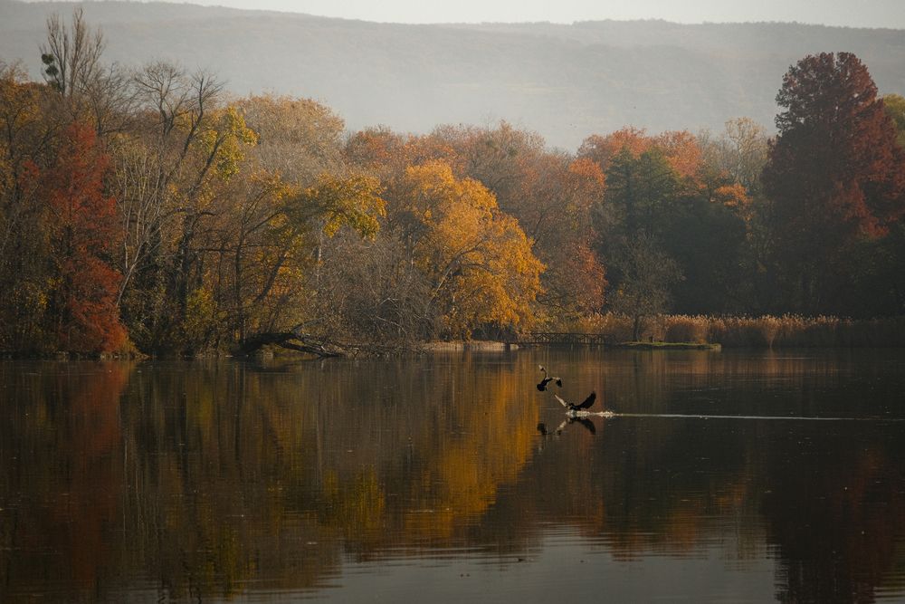 Photograph by Veronika Biró
