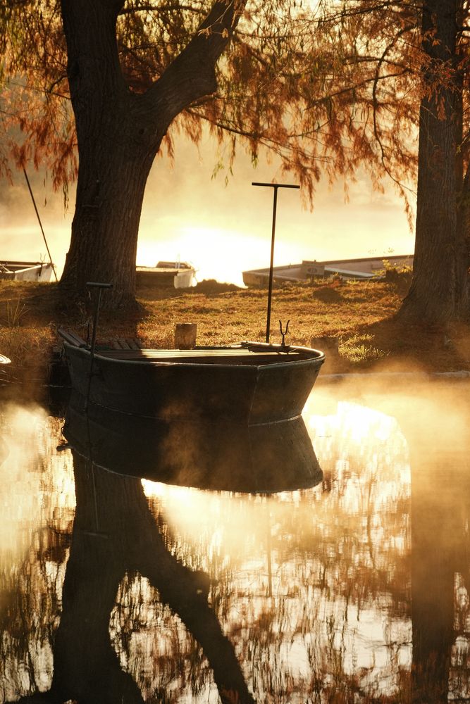 Photograph by Veronika Biró