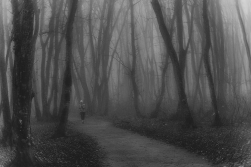 Photograph by Виталий Маслов