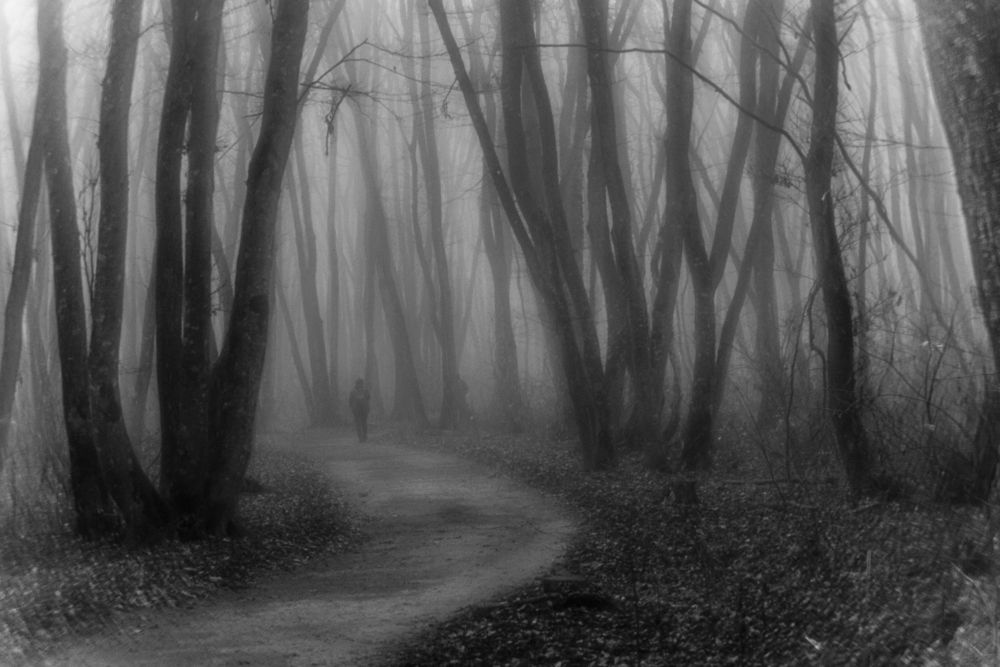 Photograph by Виталий Маслов