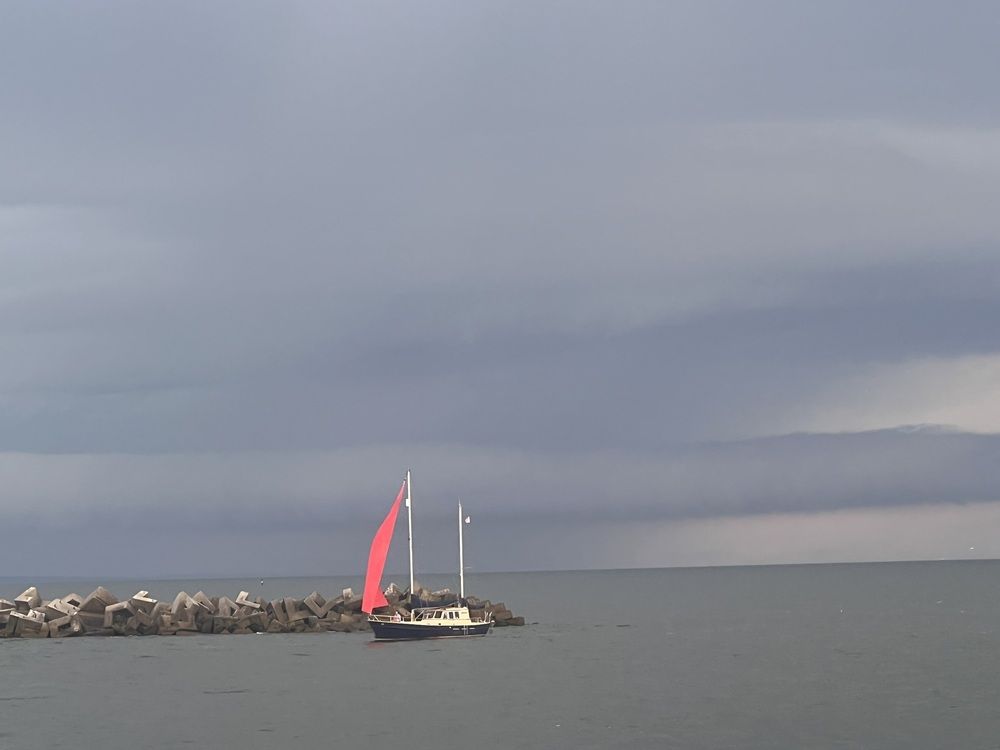 Photograph by Kira Ko