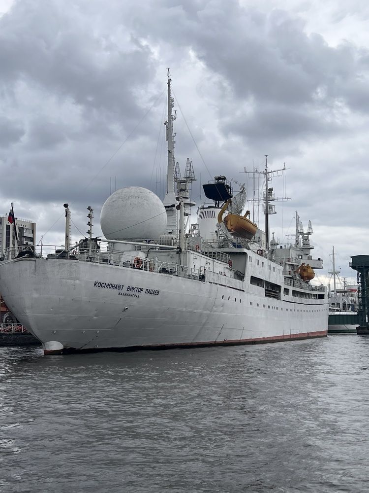 Photograph by Kira Ko