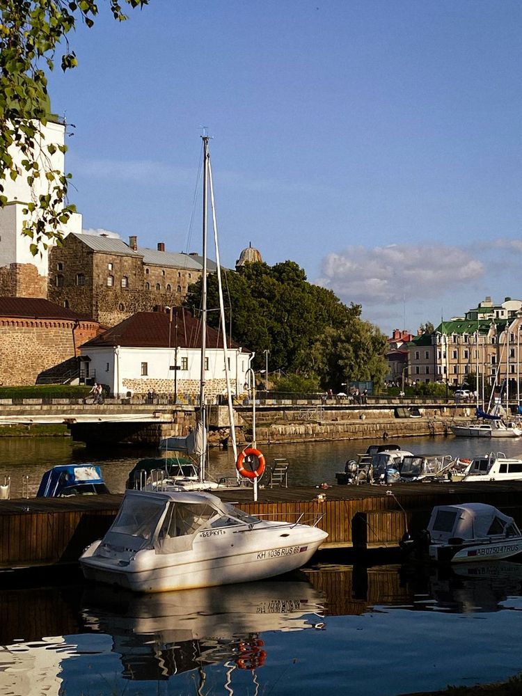 Photograph by Анастасия Гульванюк