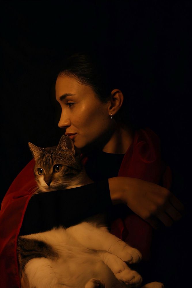 В тёплом свете