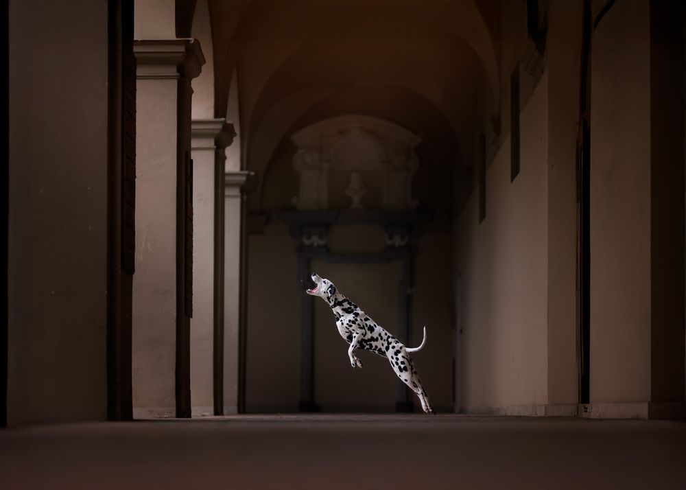 Photograph by Annalisa Simonato