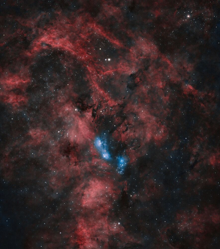 Photograph by Horacio