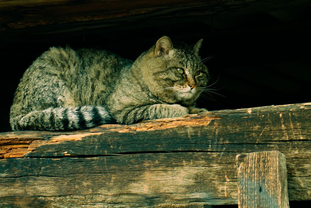 Photograph by Олег Хамуев