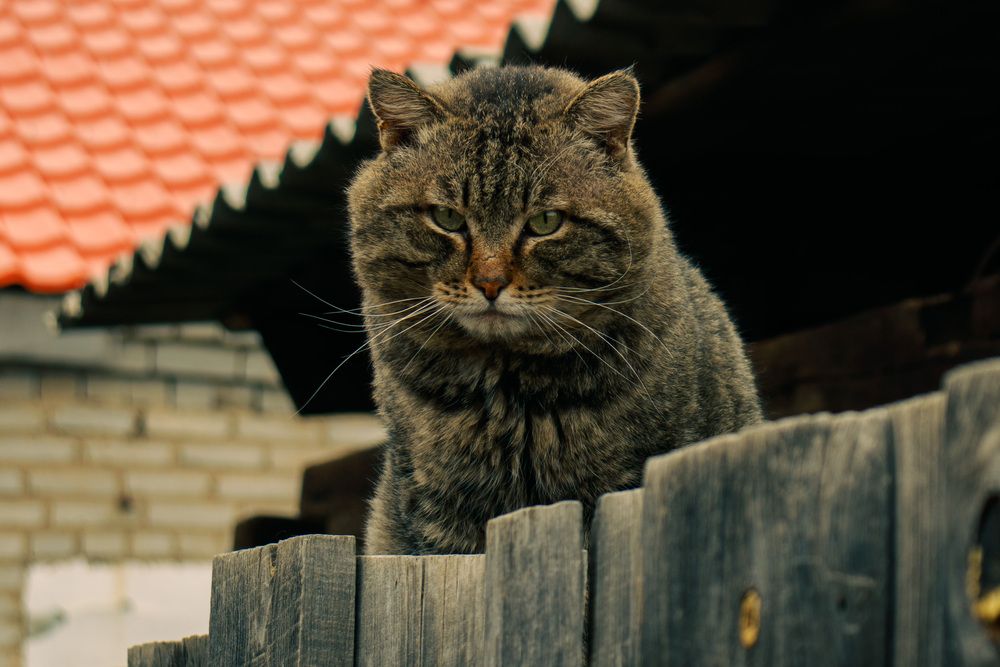 Photograph by Олег Хамуев