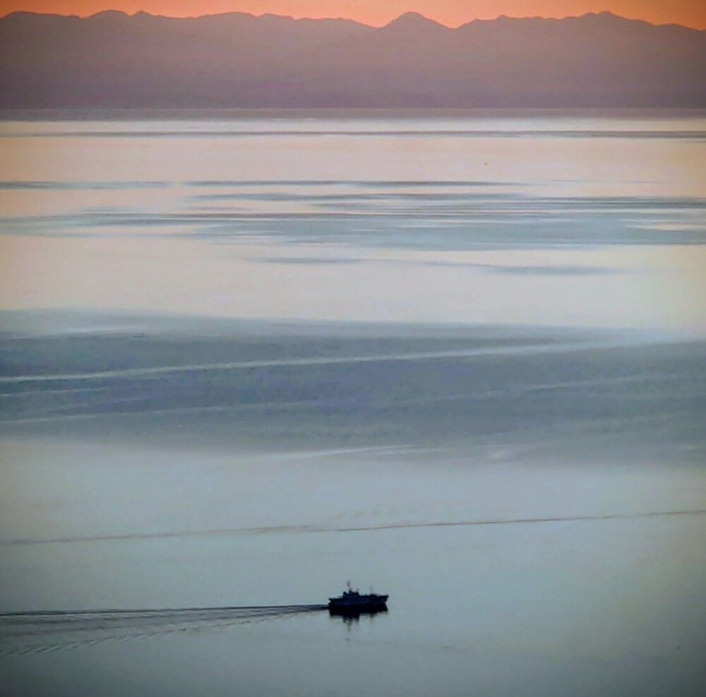 Photograph by Алексей Карчевский