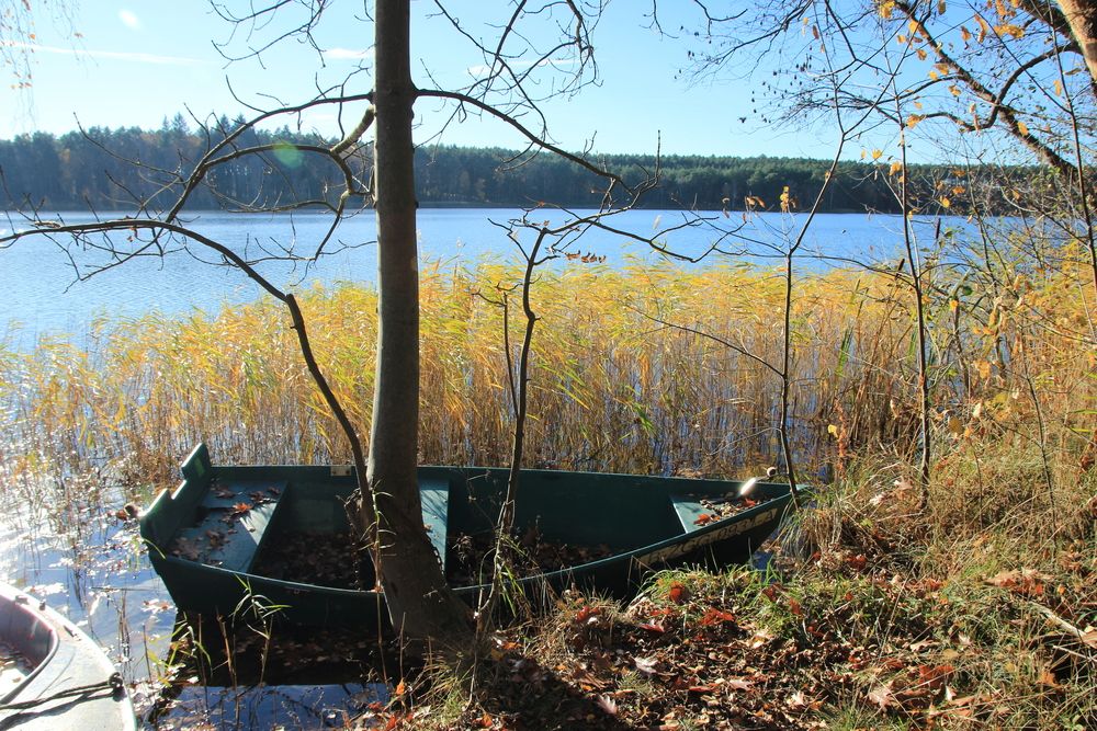 Photograph by Maciej Morgiel