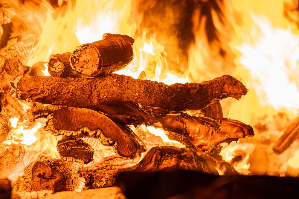 Photograph by Aditya Gupta