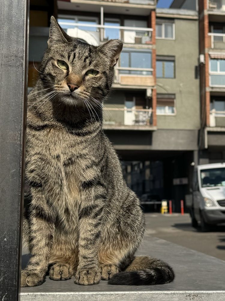 Photograph by Татьяна Терлецкая
