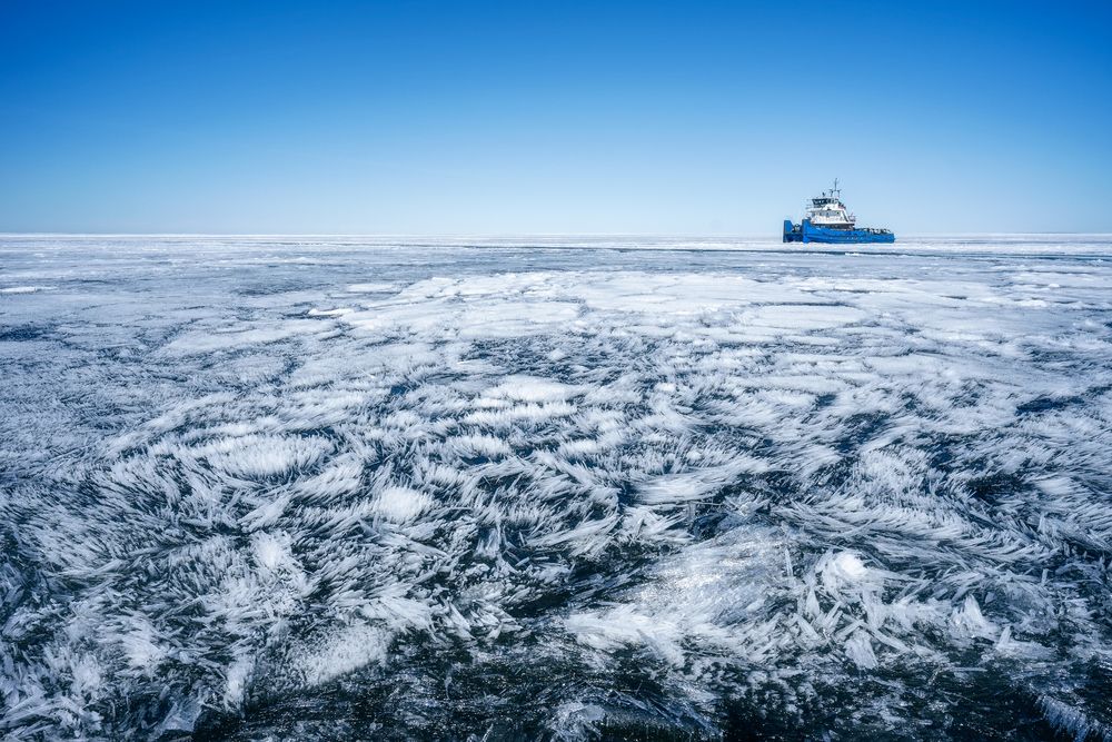 Photograph by Алексей Глухов