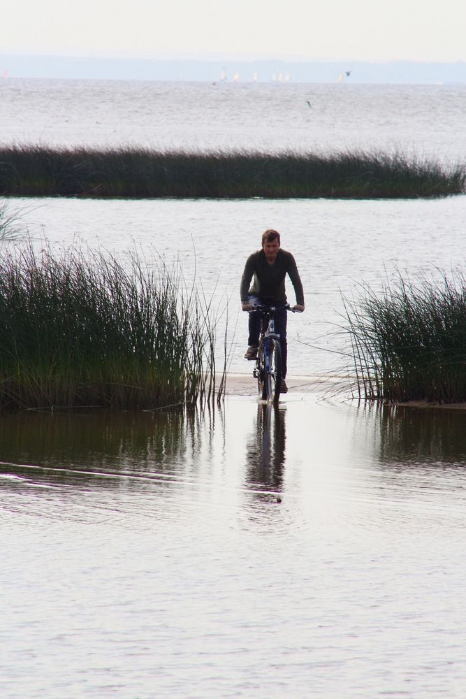 Фотография автора Яна Сергеева