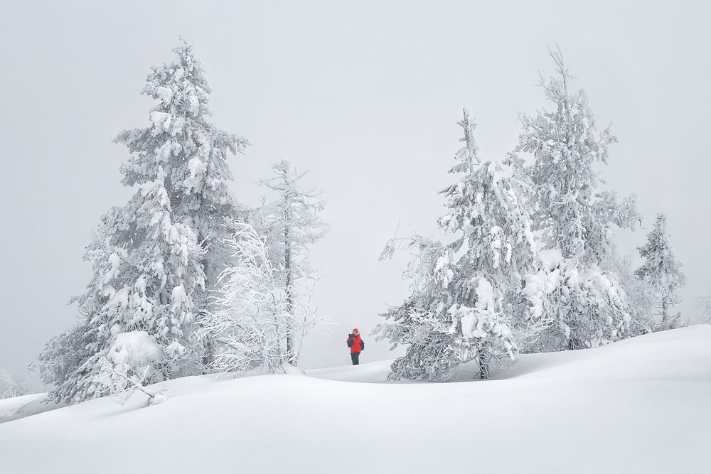 Photograph by Константин Маланин