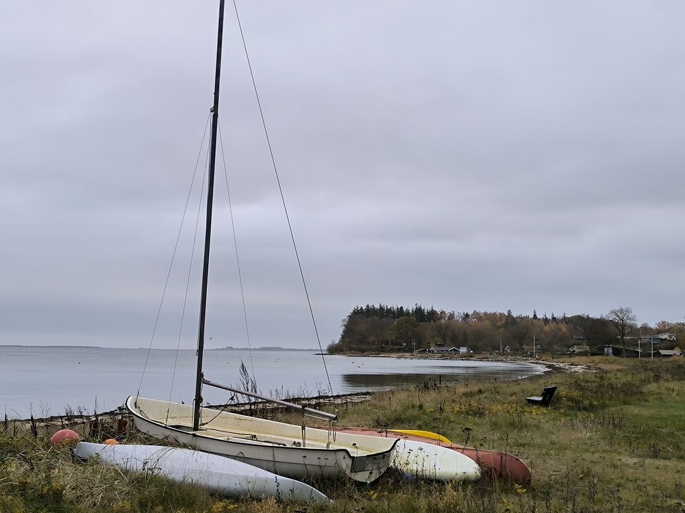 Photograph by Елена Симонова