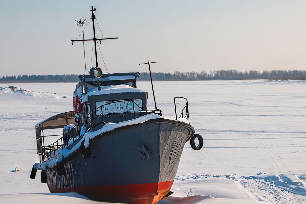 Фотография автора Елена Разина