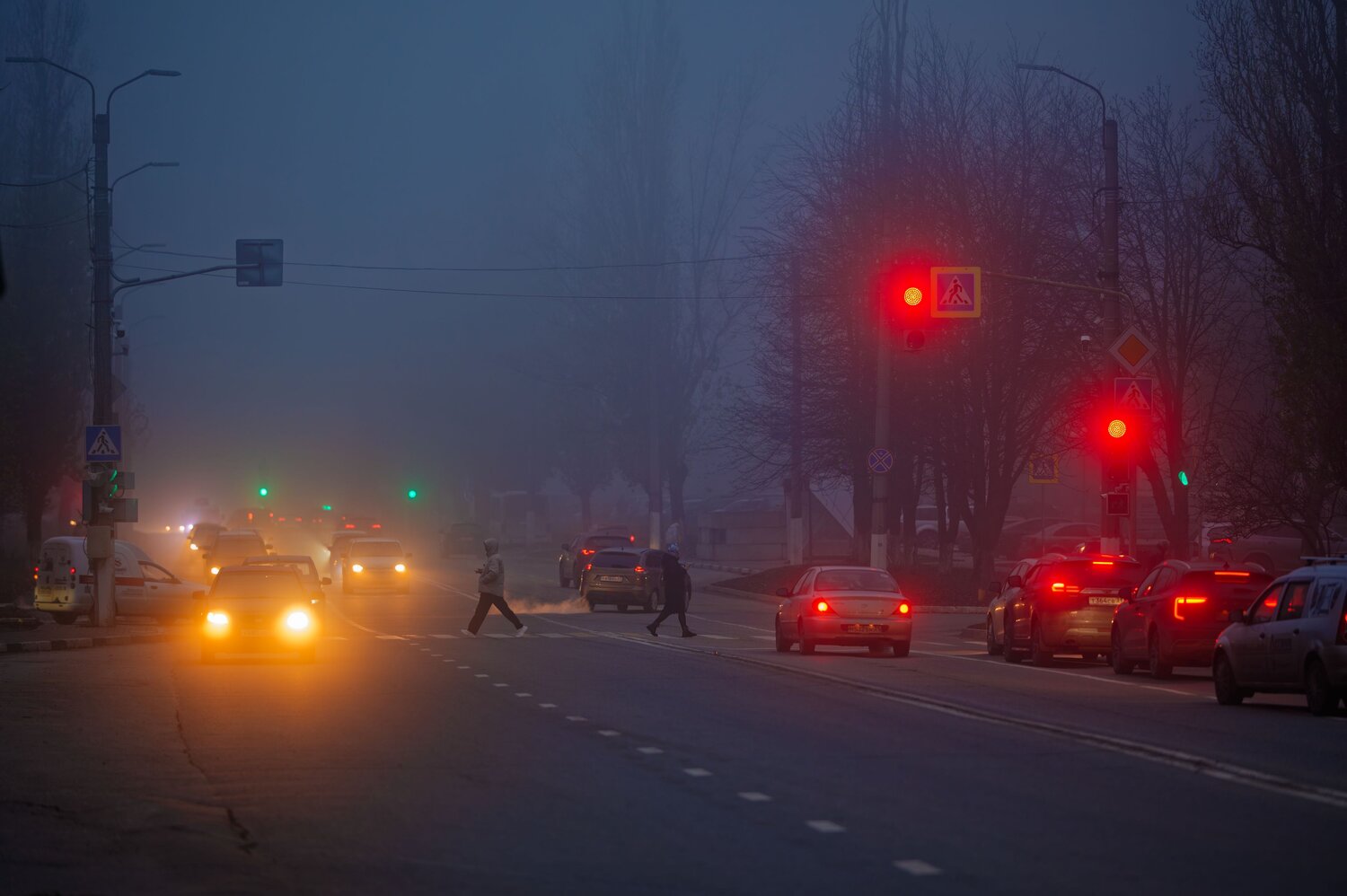 Photo #12897116