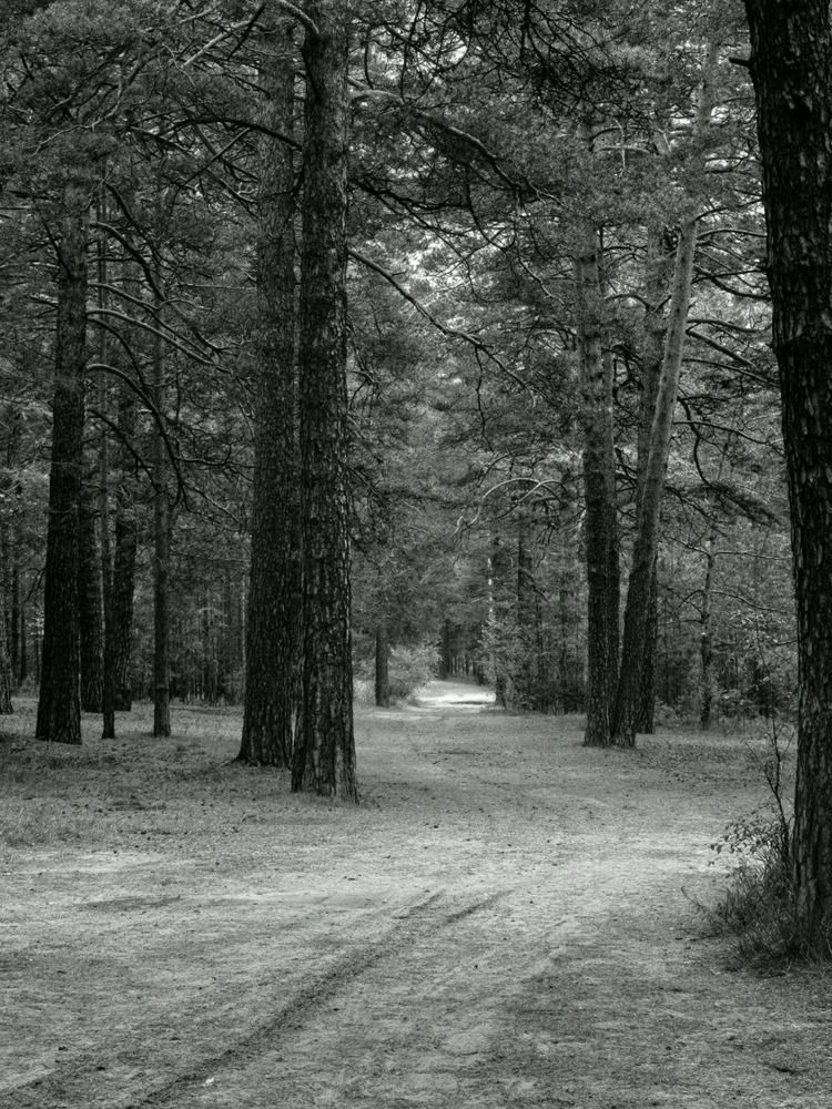 Photograph by Анастасия