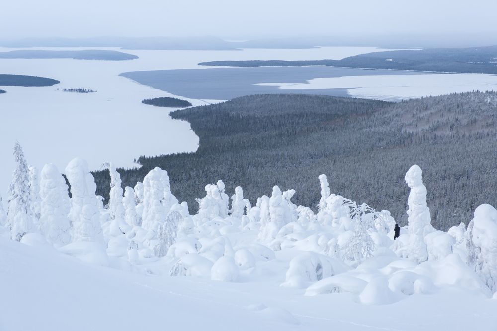 Photograph by Леонтьев Константин