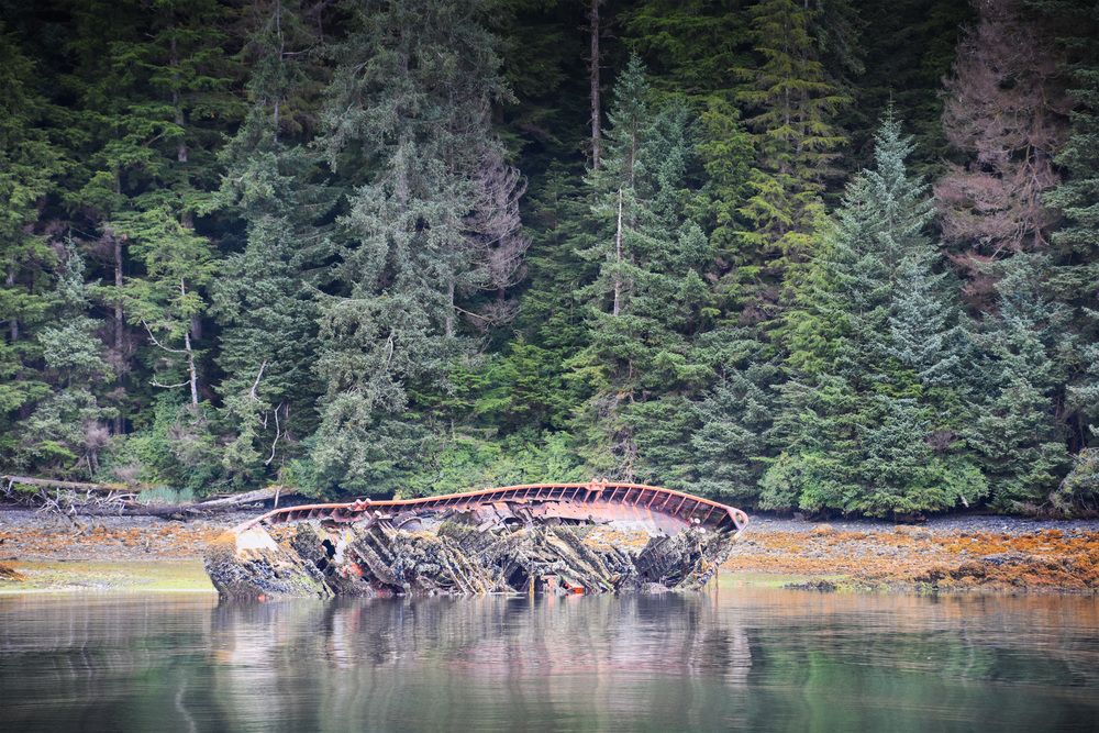 Фотография автора Bhupender Gupta