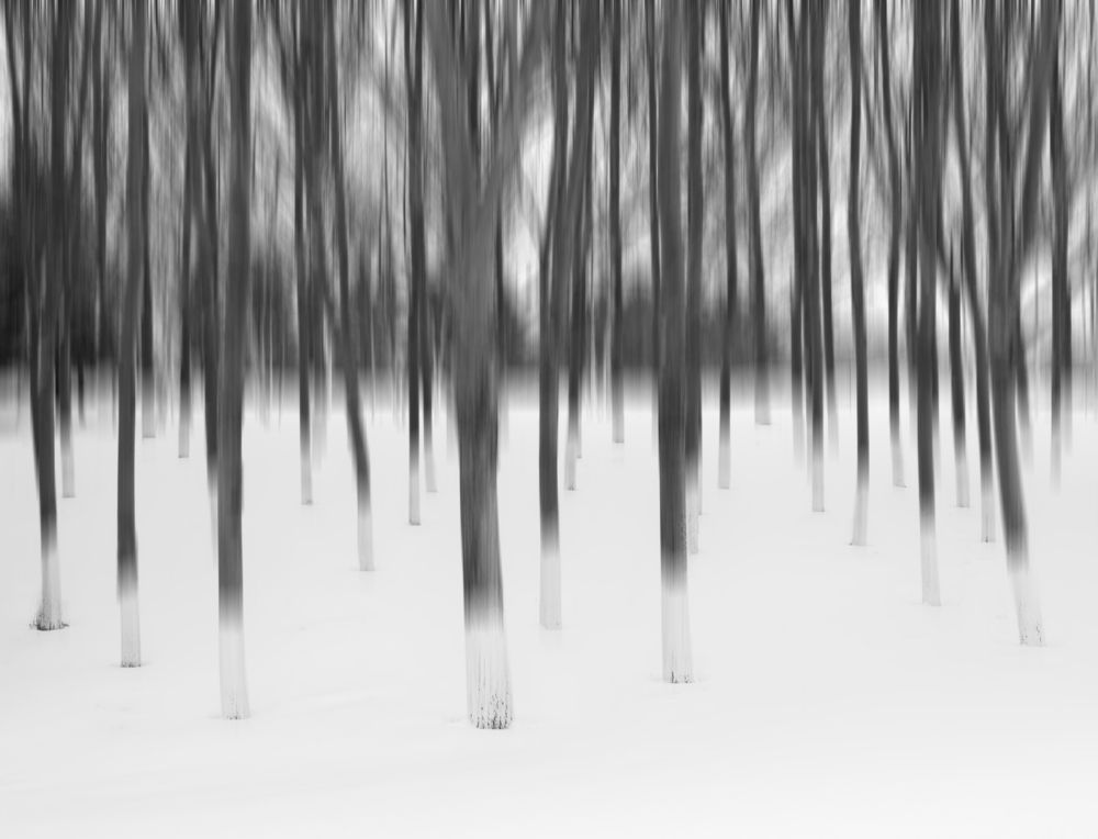 Photograph by Chen Chen