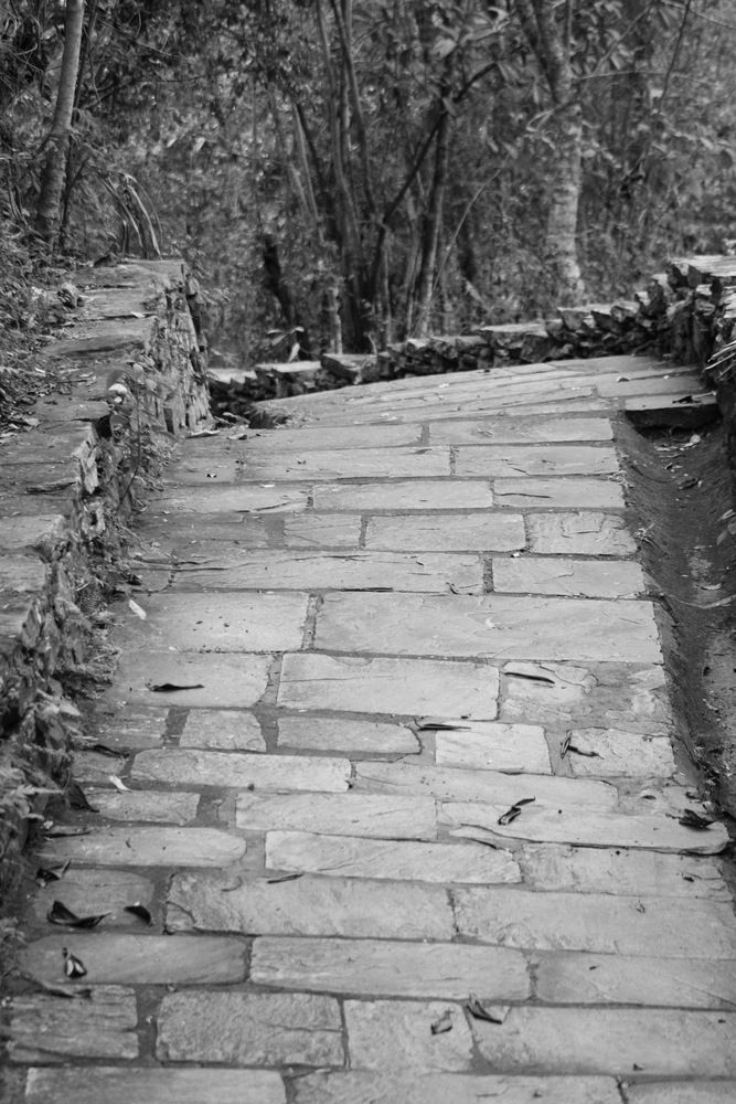 Фотография автора Alexandre Pimentel