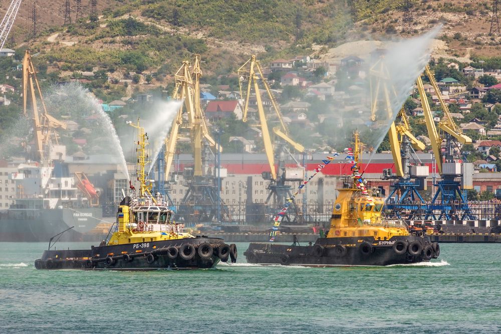 Фотография автора Галина Шепелева