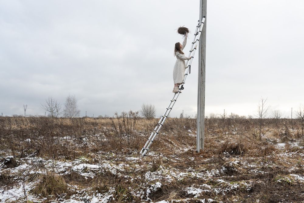 Photograph by Елена Март