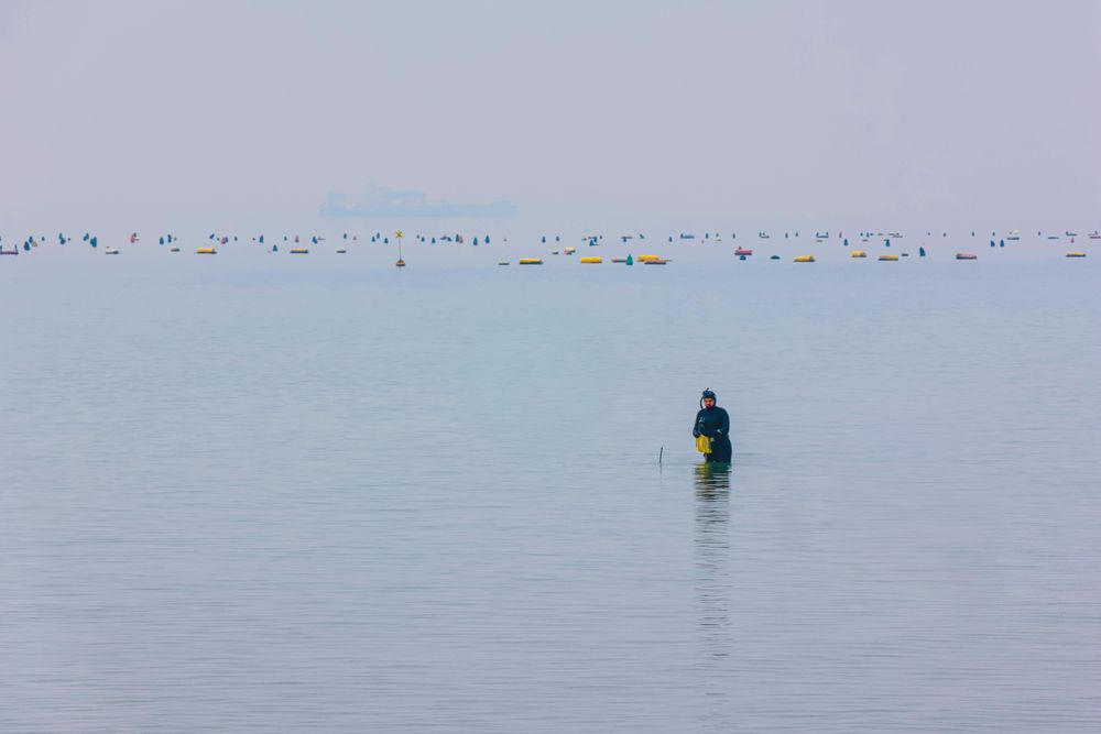 Photograph by Eva Wiedemann