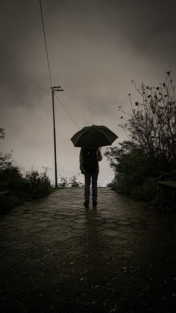 Between the Forest and the City