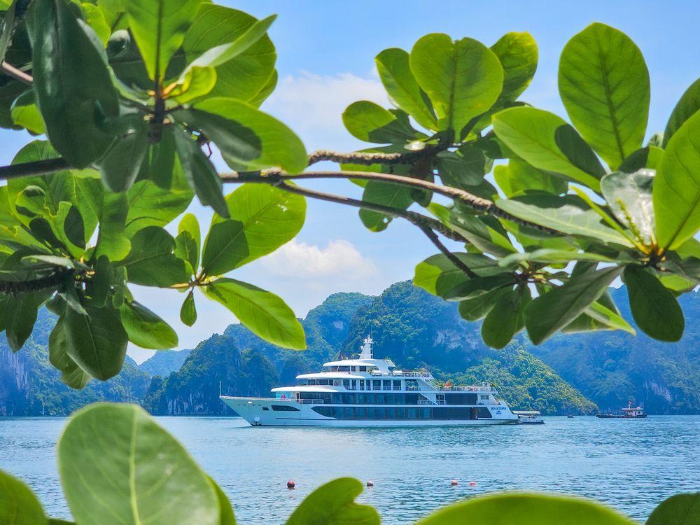 Photograph by Сергей Кесаев