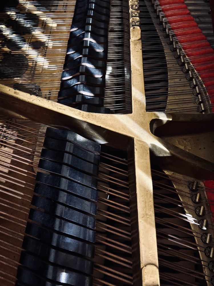 Photograph by Екатерина Сбитякова