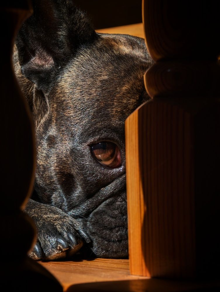 Photograph by Евгений Слепухин