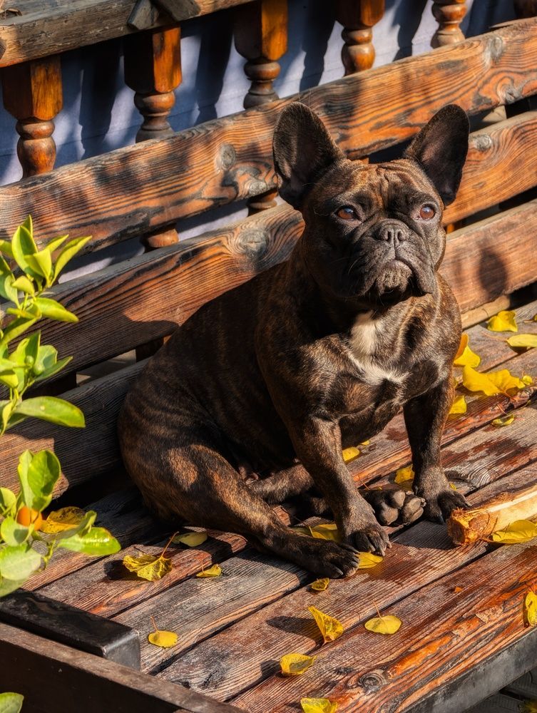 Photograph by Евгений Слепухин