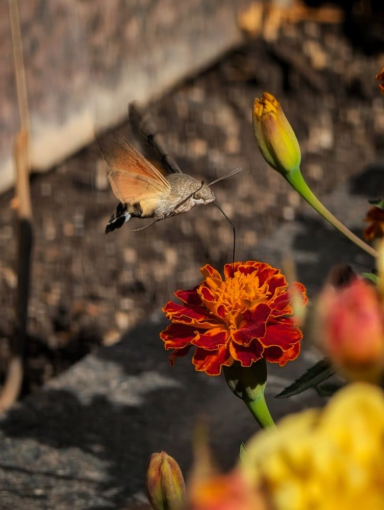Photograph by Евгений Слепухин