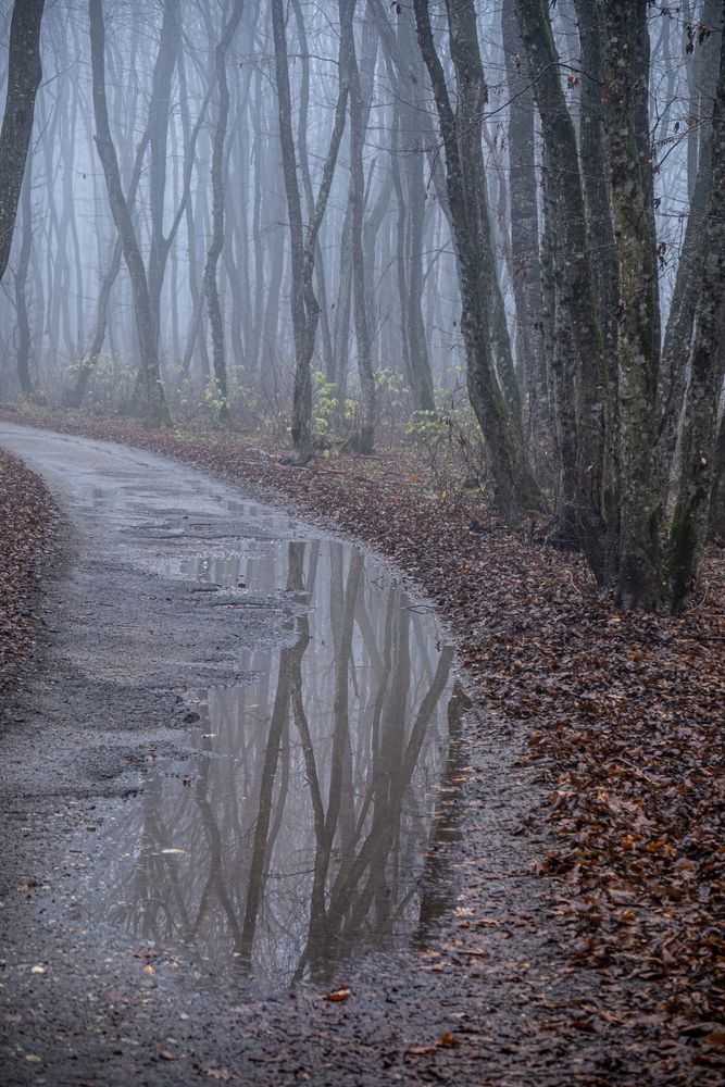 Photograph by Виталий Маслов