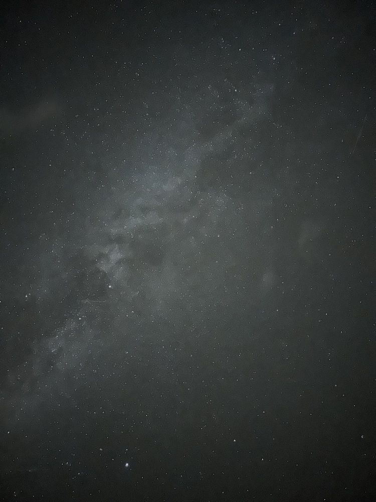 Фотография автора Полина Ишкина