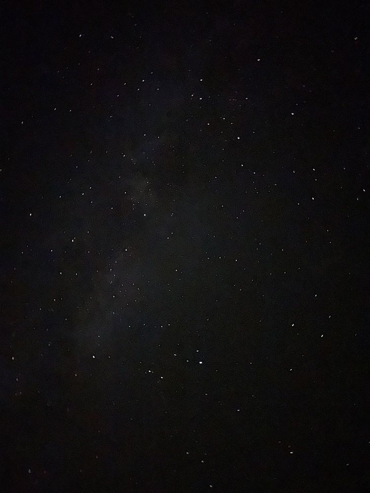 Фотография автора Полина Ишкина