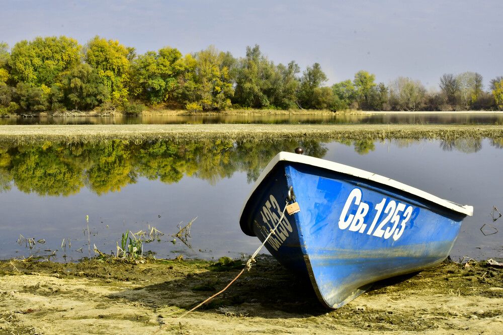 Photograph by Diana Draginova