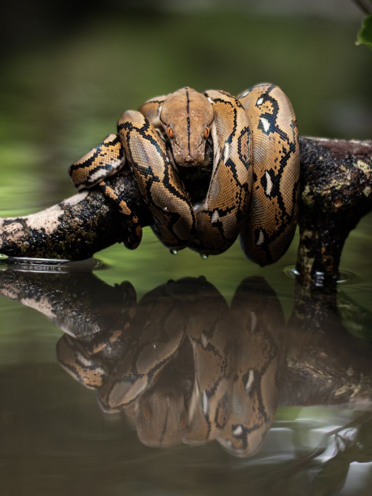 Photograph by Ky Nam Nguyen Ngoc