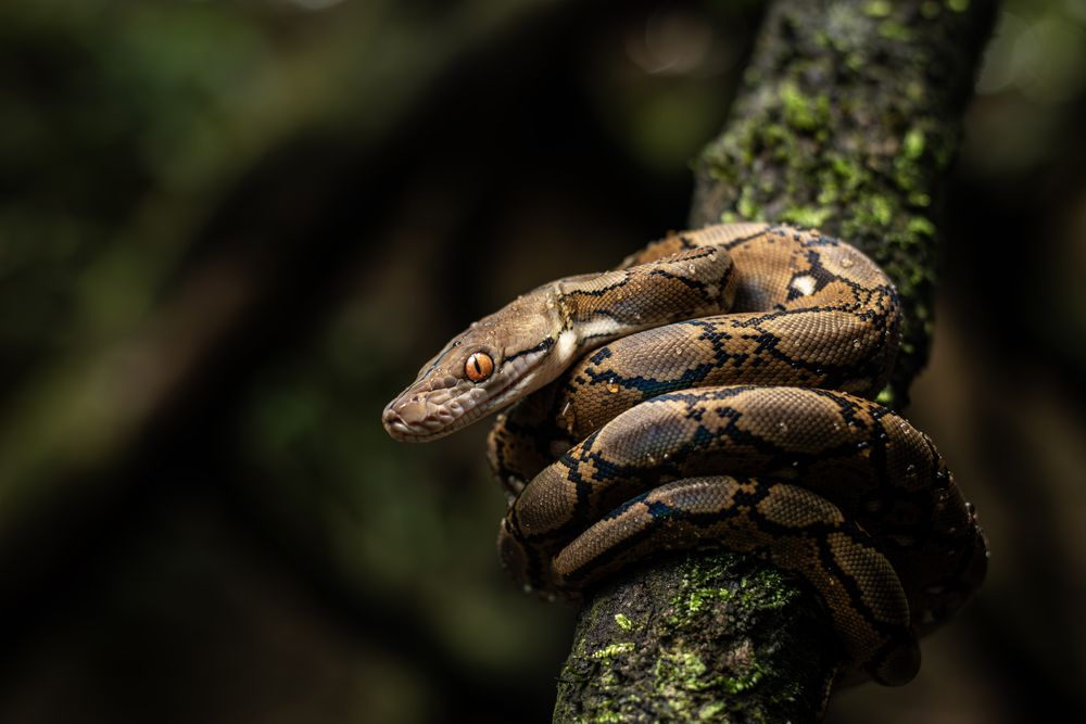 Photograph by Ky Nam Nguyen Ngoc