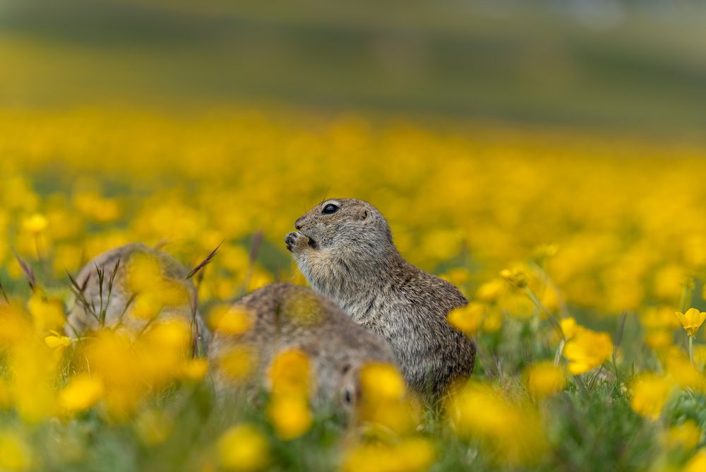 Photograph by Иван Губский
