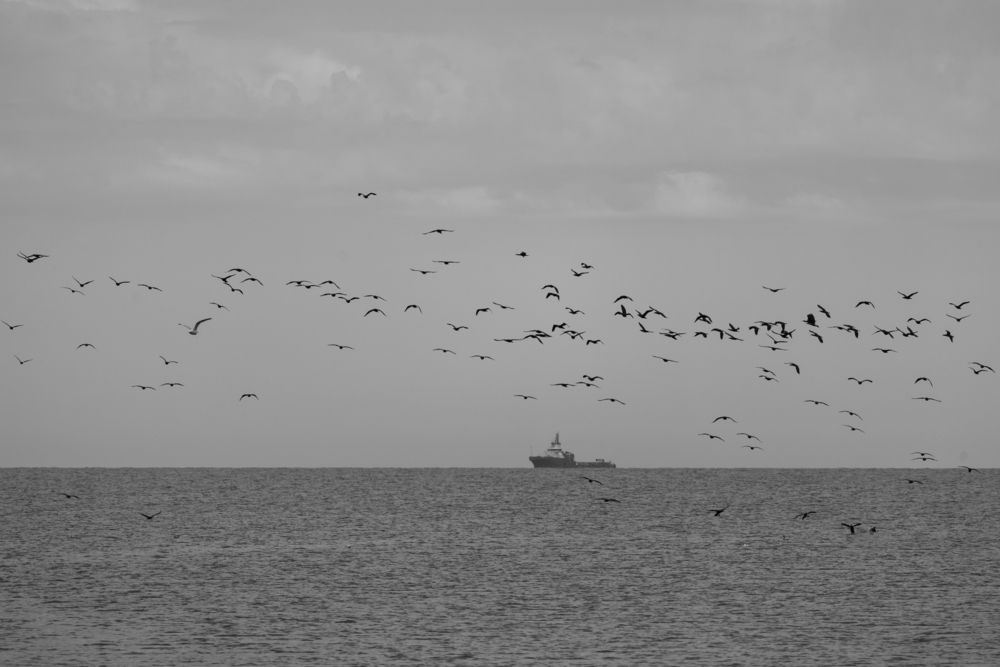 Фотография автора Ruslan Menzulin