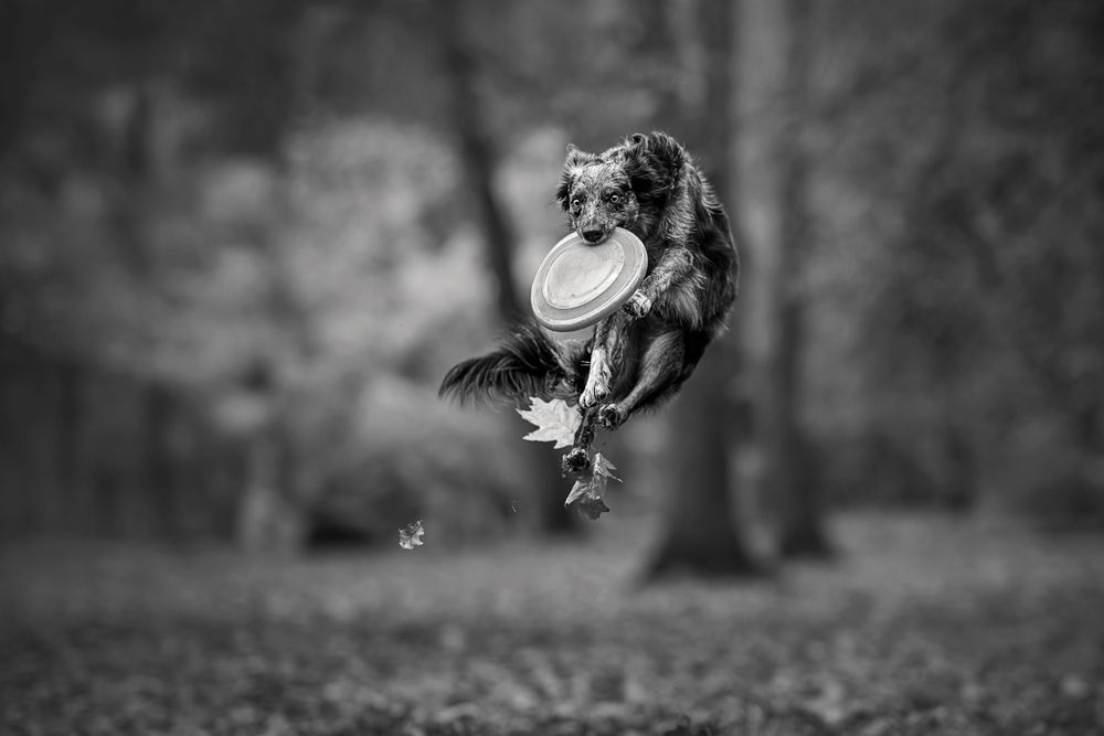 Photograph by Lucie Nermuťová