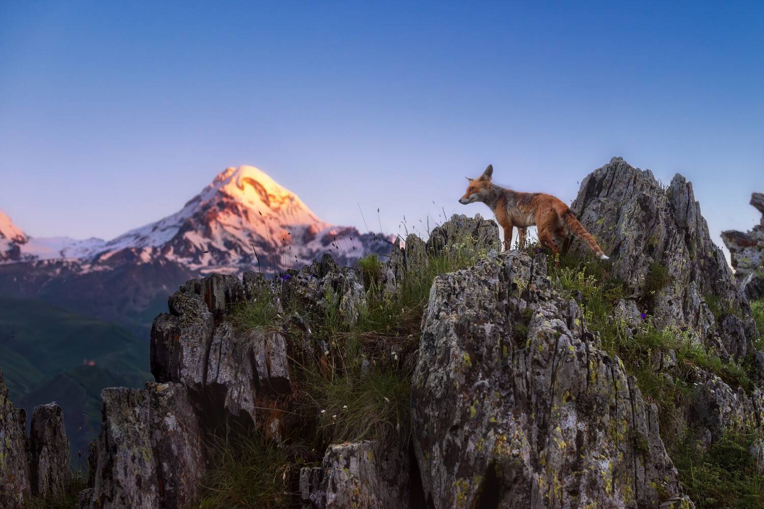 Фотография #12898168