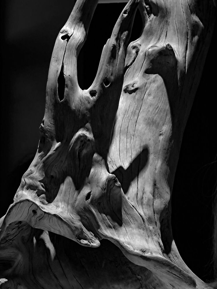 Photograph by Артем Капустин