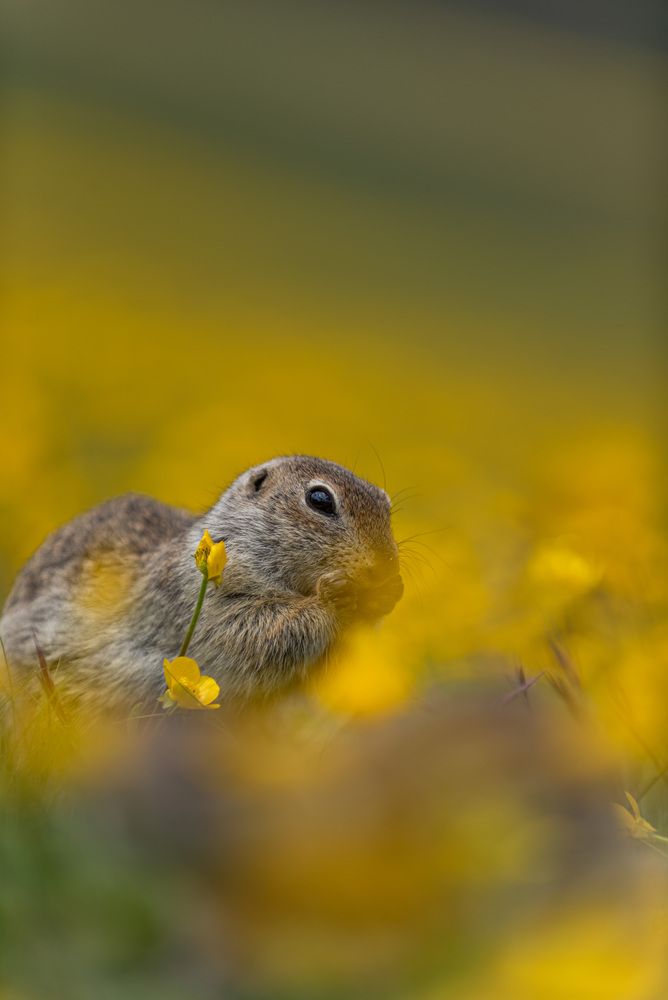 Photograph by Иван Губский