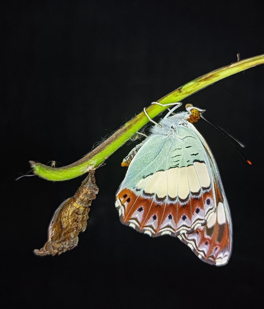 Photograph by Antisha Thakur
