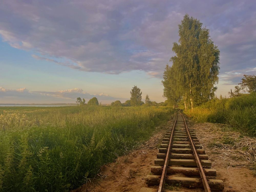 Photograph by Волкова Полина